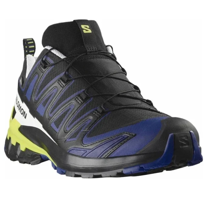 Salomon XA PRO 3D V9 Gore-Tex «Black Surf The Web»