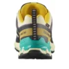 SALOMON XA PRO 3D V9 Gore-Tex «Transparent Yellow Black»