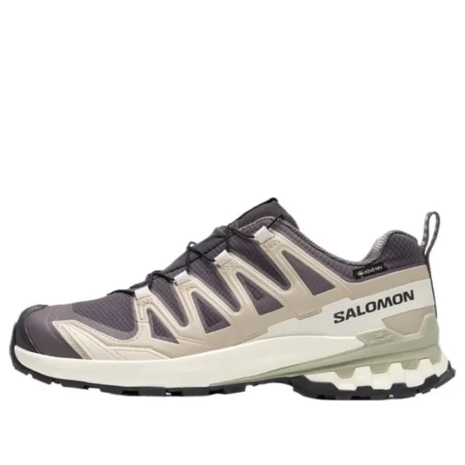 Salomon XA PRO 3D V9 GTX «Dark Grey Beige»