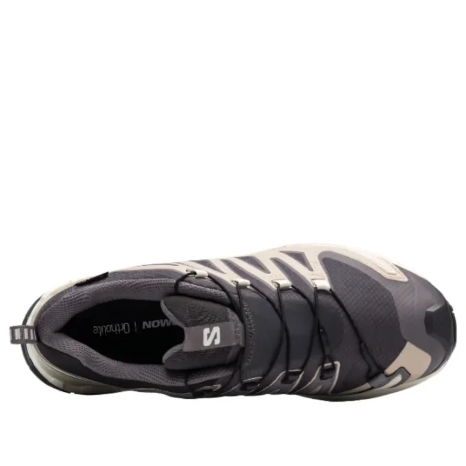 Salomon XA PRO 3D V9 GTX «Dark Grey Beige»