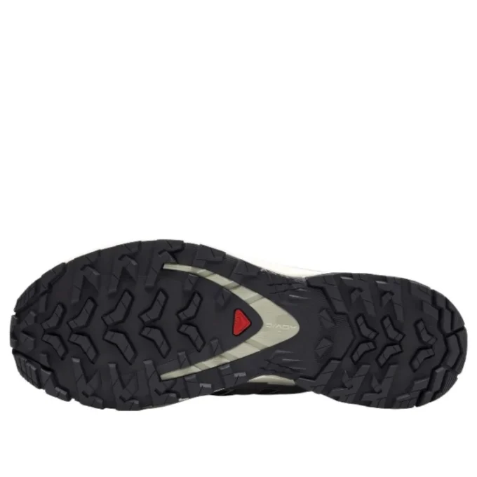 Salomon XA PRO 3D V9 GTX «Dark Grey Beige»