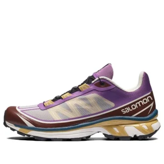 Salomon XT-6 Ft «Grey Purple Brown»