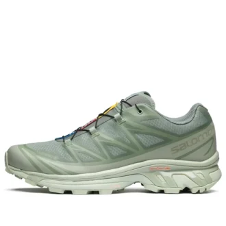 XT-6 Gore-Tex «Desert Sage Lily Pad»