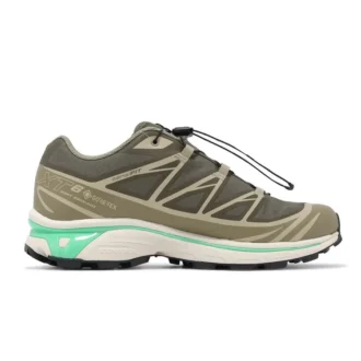 XT-6 Gore-Tex «Olive Night Dried Herb»