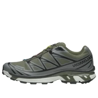 XT-6 Gore-Tex «Olive Night Sedona Sage»