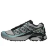 XT-PATHWAY «Ghost Grey Arona»